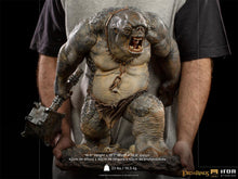 Load image into Gallery viewer, CAVE TROLL DELUXE BDS ART SCALE