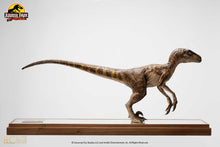 Load image into Gallery viewer, CLEVER GIRL VELOCIRAPTOR MAQUETTE