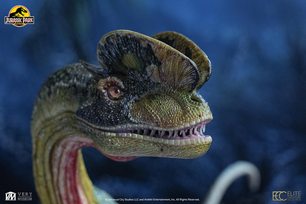 PRE-ORDER: DILOPHOSAURUS MAQUETTE