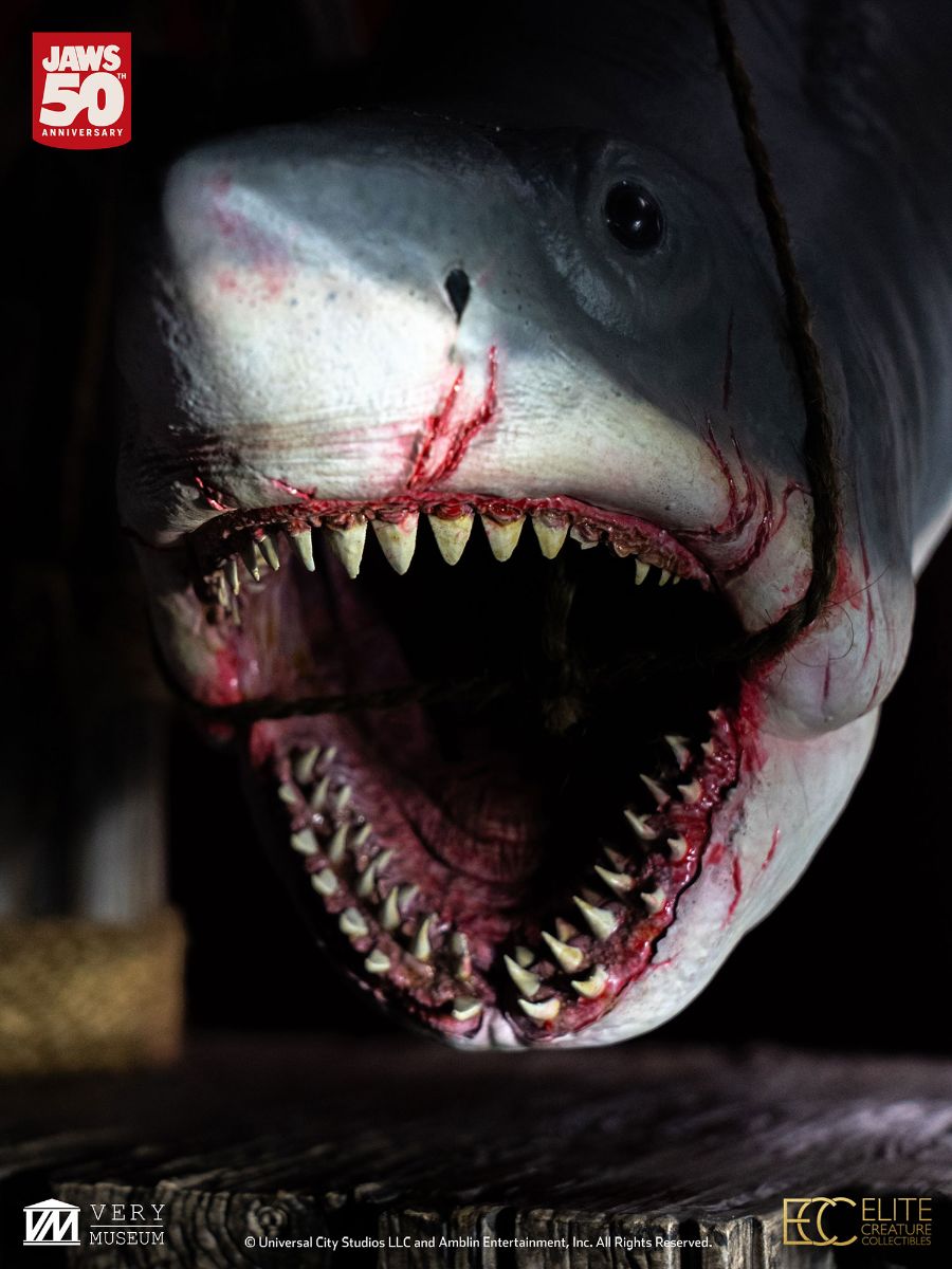 JAWS MAQUETTE