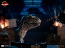 Load image into Gallery viewer, PRE-ORDER: JUNIOR T-REX BUST
