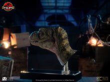 Load image into Gallery viewer, PRE-ORDER: JUNIOR T-REX BUST