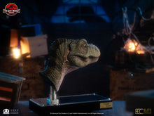 Load image into Gallery viewer, PRE-ORDER: JUNIOR T-REX BUST