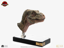 Load image into Gallery viewer, PRE-ORDER: JUNIOR T-REX BUST