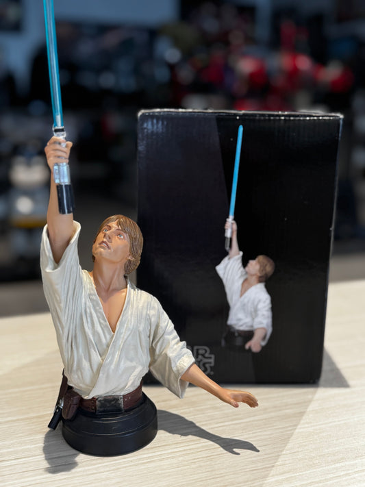 LUKE MINI BUST