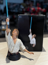 Load image into Gallery viewer, LUKE MINI BUST