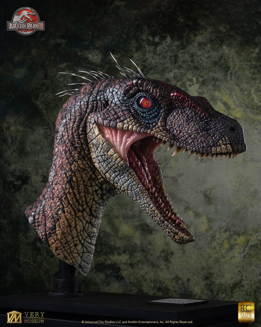 PRE-ORDER: MALE ALPHA VELOCIRAPTOR BUST