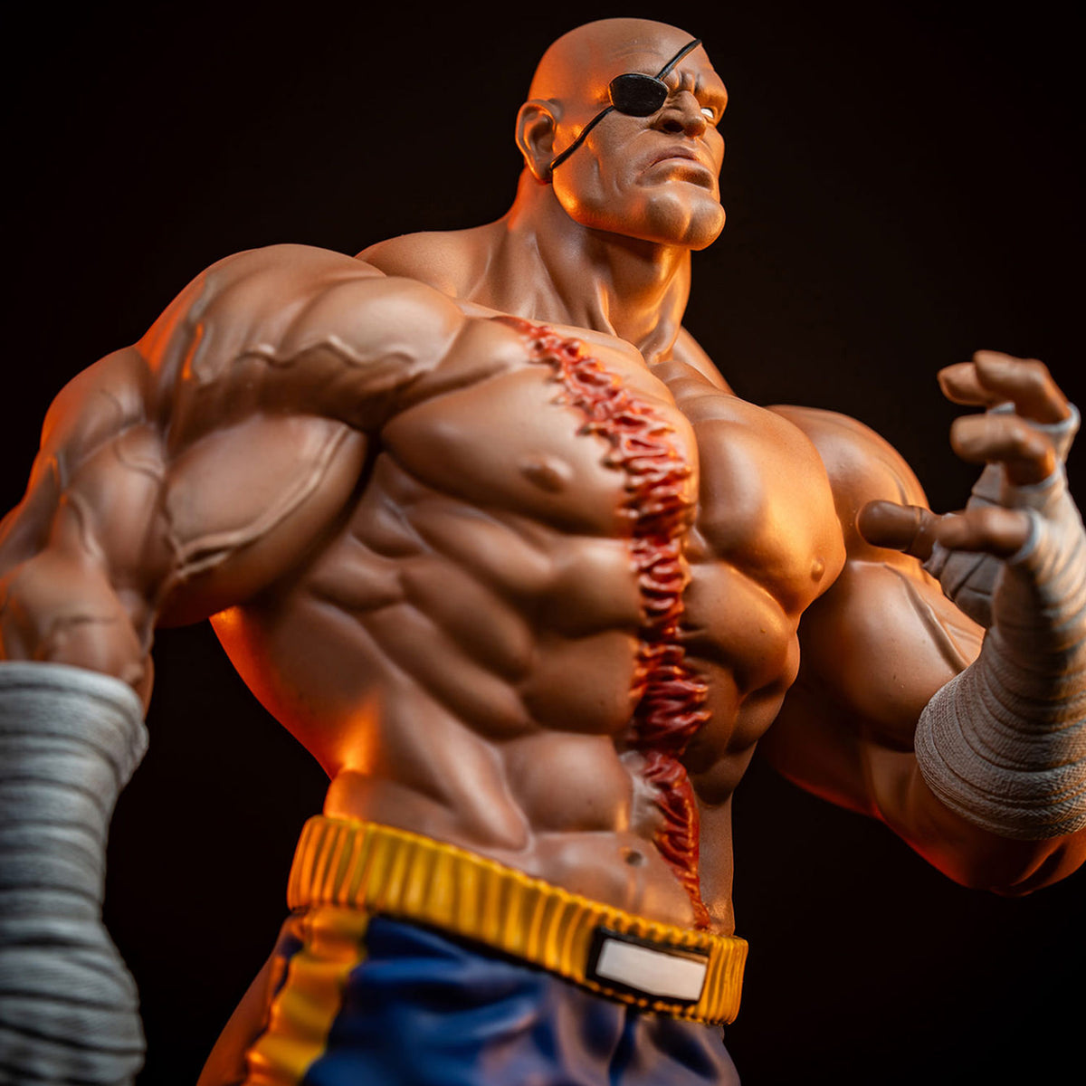 PRE-ORDER: SAGAT AND JULI COLLECTIBLE SET