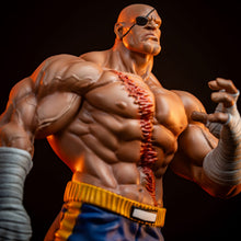 Load image into Gallery viewer, PRE-ORDER: SAGAT AND JULI COLLECTIBLE SET