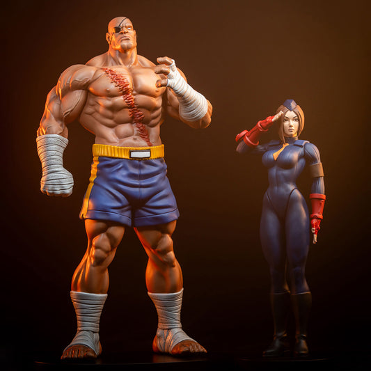 PRE-ORDER: SAGAT AND JULI COLLECTIBLE SET