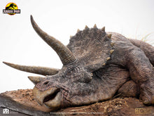 Load image into Gallery viewer, PRE-ORDER: SICK TRICERATOPS MAQUETTE