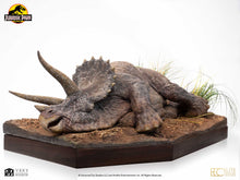 Load image into Gallery viewer, PRE-ORDER: SICK TRICERATOPS MAQUETTE