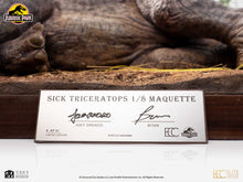 Load image into Gallery viewer, PRE-ORDER: SICK TRICERATOPS MAQUETTE