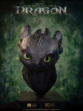 Load image into Gallery viewer, PRE-ORDER: TOOTHLESS LIFE SIZE BUST