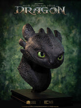 Load image into Gallery viewer, PRE-ORDER: TOOTHLESS LIFE SIZE BUST