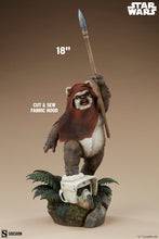 Load image into Gallery viewer, WICKET PREMIUM FORMAT