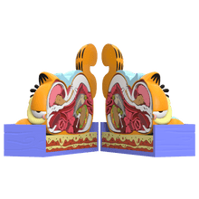 Load image into Gallery viewer, XXPOSED GARFIELD
