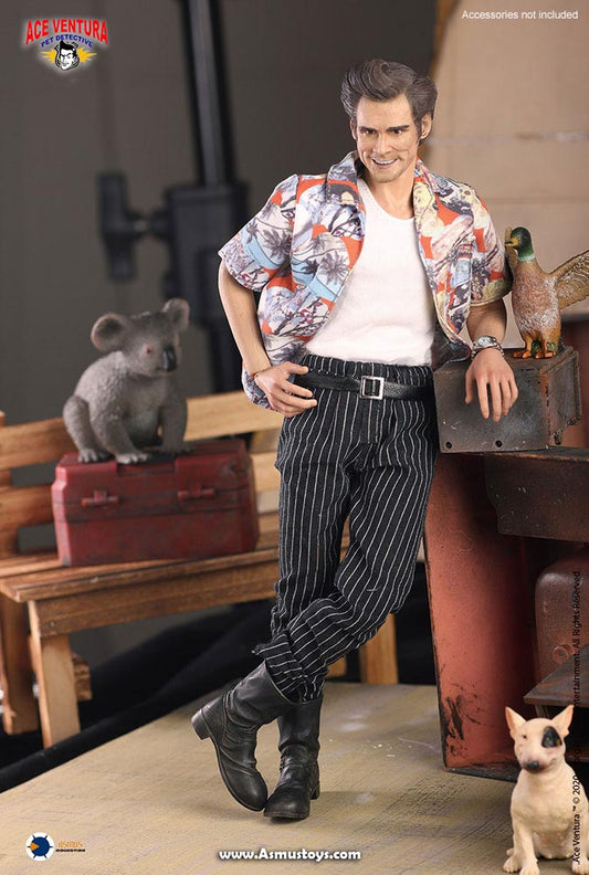 ACE VENTURA SIXTH SCALE