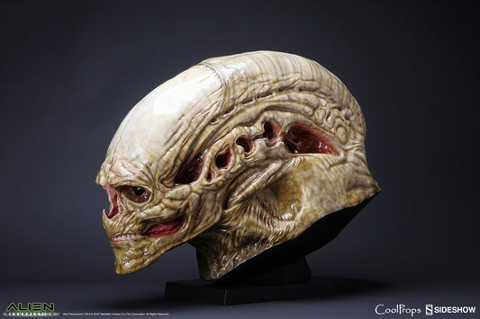 ALIEN NEWBORN BUST