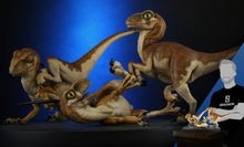 Load image into Gallery viewer, Crash McCreery's Baby Raptors