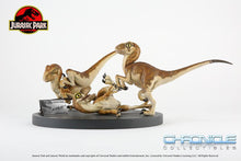 Load image into Gallery viewer, Crash McCreery's Baby Raptors