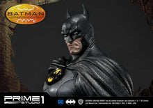 Load image into Gallery viewer, BATMAN INCORPORATED SUIT