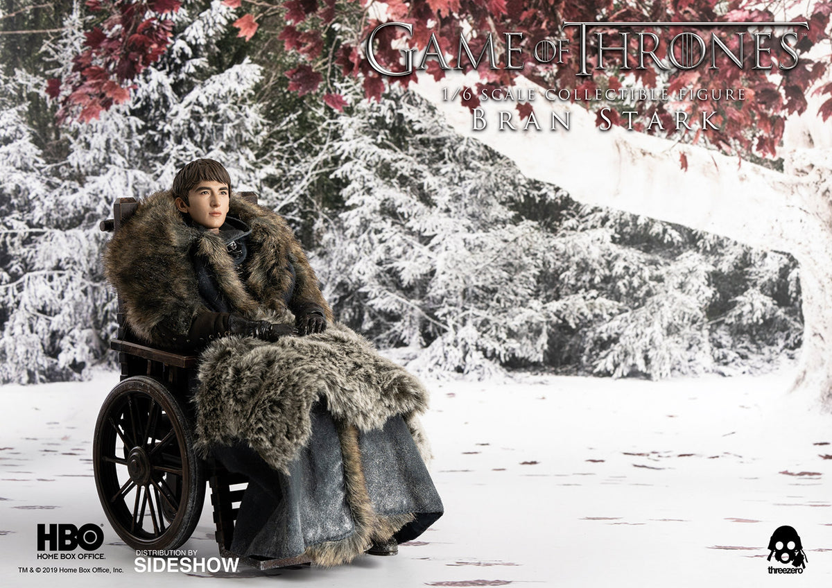 BRAN STARK SIXTH SCALE