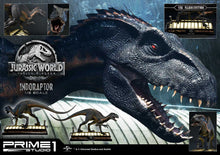 Load image into Gallery viewer, INDORAPTOR