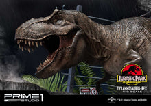 Load image into Gallery viewer, JP T-Rex