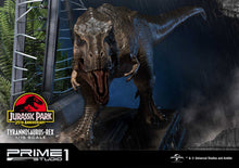 Load image into Gallery viewer, JP T-Rex
