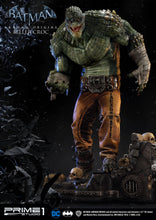 Load image into Gallery viewer, KILLER CROC
