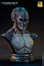 Load image into Gallery viewer, Marcus Bust