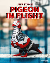 Load image into Gallery viewer, PIGEON IN FLIGHT