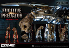 Load image into Gallery viewer, PREDATOR WRISTBLADES
