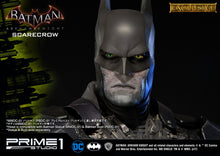 Load image into Gallery viewer, SCARECROW EXCLUSIVE