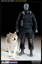 Load image into Gallery viewer, SNAKE EYES and TIMBER SIXTH SCALE