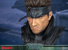 Load image into Gallery viewer, PRE-ORDER: SOLID SNAKE SCALED BUST
