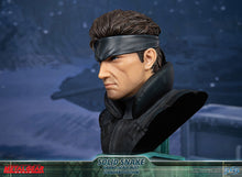 Load image into Gallery viewer, PRE-ORDER: SOLID SNAKE SCALED BUST