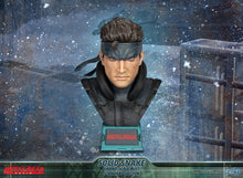 Load image into Gallery viewer, PRE-ORDER: SOLID SNAKE SCALED BUST