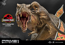 Load image into Gallery viewer, T-REX vs VELOCIRAPTORS