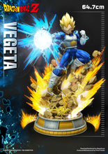 Load image into Gallery viewer, SUPER SAIYAN VEGETA