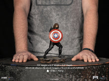 Load image into Gallery viewer, PRE-ORDER: WINTER SOLDIER ART SCALE